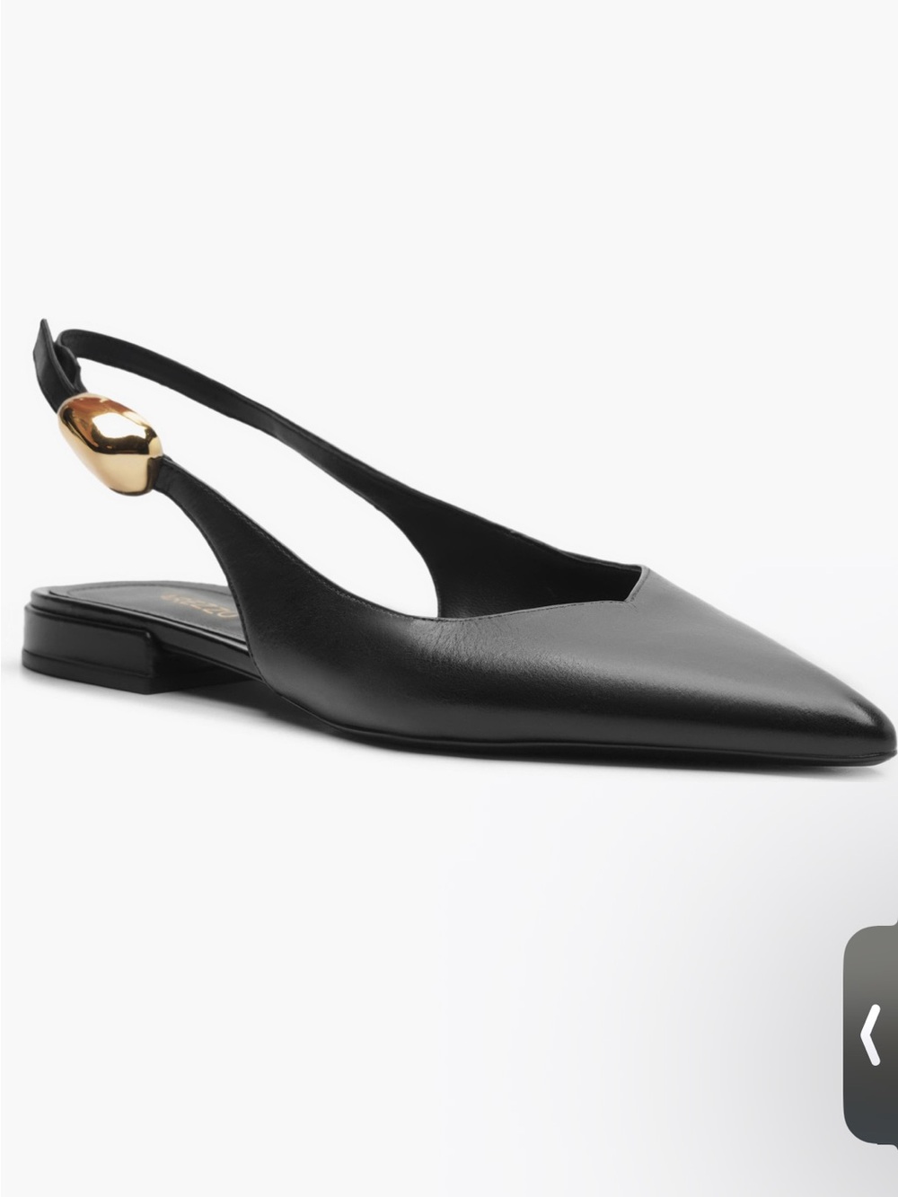 AREZZO Farah SlingBack Pointed Toe Flat